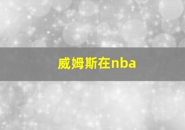 威姆斯在nba