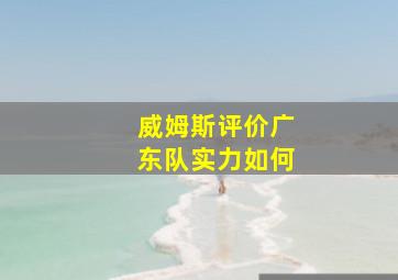 威姆斯评价广东队实力如何