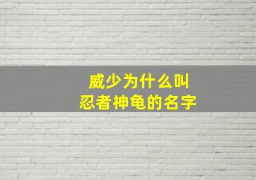 威少为什么叫忍者神龟的名字