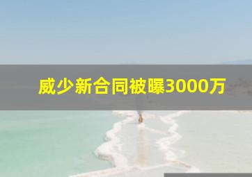 威少新合同被曝3000万