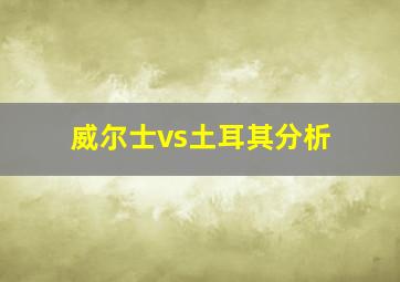 威尔士vs土耳其分析