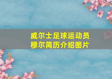 威尔士足球运动员穆尔简历介绍图片