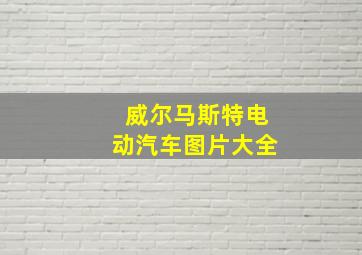 威尔马斯特电动汽车图片大全