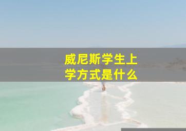 威尼斯学生上学方式是什么