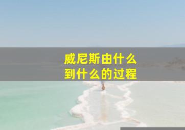 威尼斯由什么到什么的过程