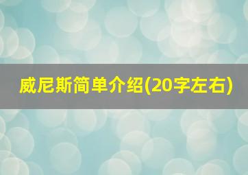 威尼斯简单介绍(20字左右)