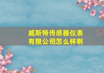 威斯特传感器仪表有限公司怎么样啊