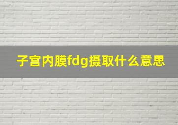 子宫内膜fdg摄取什么意思