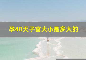 孕40天子宫大小是多大的