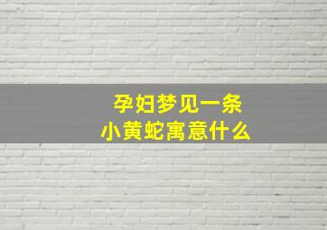 孕妇梦见一条小黄蛇寓意什么