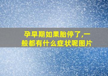 孕早期如果胎停了,一般都有什么症状呢图片