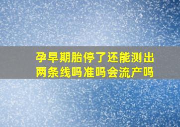 孕早期胎停了还能测出两条线吗准吗会流产吗