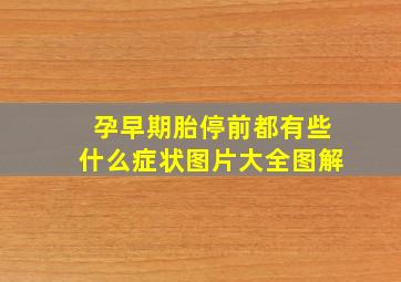 孕早期胎停前都有些什么症状图片大全图解