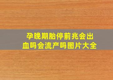 孕晚期胎停前兆会出血吗会流产吗图片大全