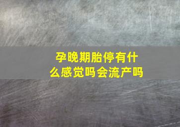 孕晚期胎停有什么感觉吗会流产吗