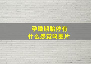 孕晚期胎停有什么感觉吗图片