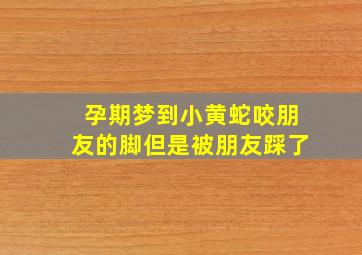 孕期梦到小黄蛇咬朋友的脚但是被朋友踩了