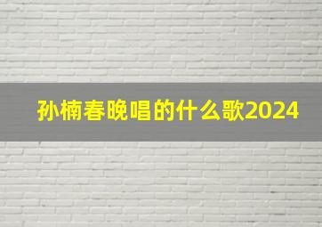 孙楠春晚唱的什么歌2024