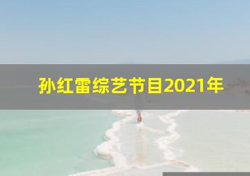 孙红雷综艺节目2021年