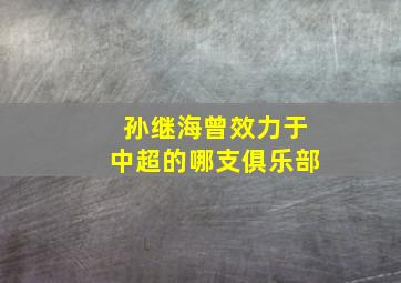 孙继海曾效力于中超的哪支俱乐部