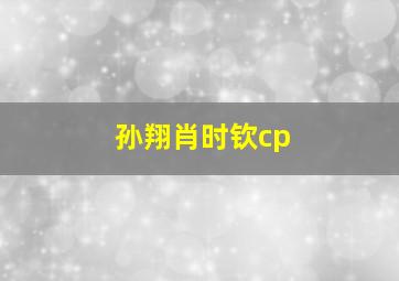 孙翔肖时钦cp