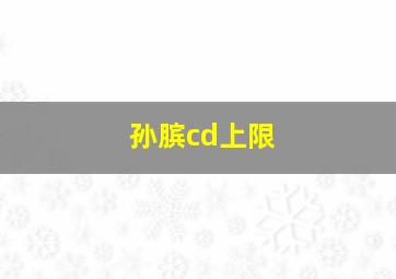 孙膑cd上限