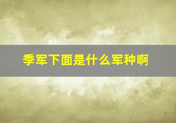 季军下面是什么军种啊