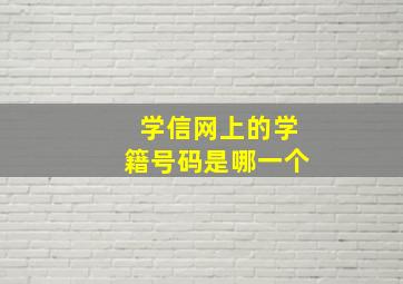 学信网上的学籍号码是哪一个