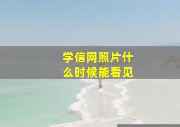 学信网照片什么时候能看见