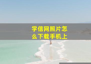 学信网照片怎么下载手机上