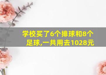 学校买了6个排球和8个足球,一共用去1028元