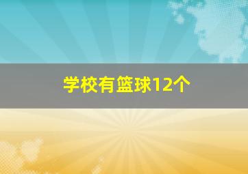 学校有篮球12个