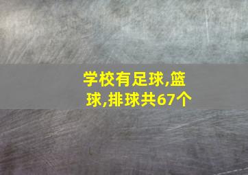 学校有足球,篮球,排球共67个