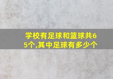 学校有足球和篮球共65个,其中足球有多少个