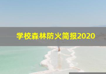 学校森林防火简报2020