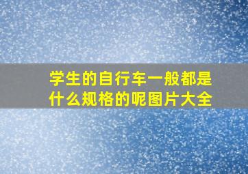 学生的自行车一般都是什么规格的呢图片大全