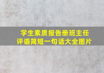 学生素质报告册班主任评语简短一句话大全图片