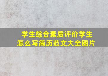 学生综合素质评价学生怎么写简历范文大全图片