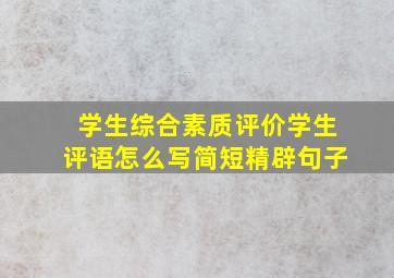 学生综合素质评价学生评语怎么写简短精辟句子