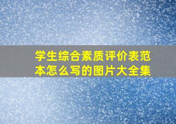 学生综合素质评价表范本怎么写的图片大全集