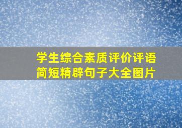 学生综合素质评价评语简短精辟句子大全图片