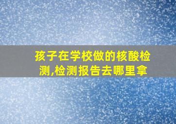 孩子在学校做的核酸检测,检测报告去哪里拿