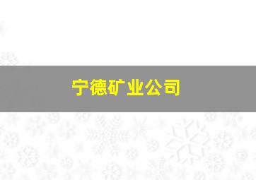 宁德矿业公司