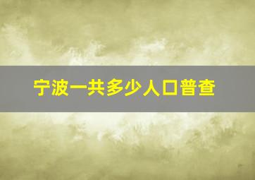 宁波一共多少人口普查