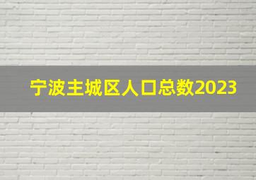 宁波主城区人口总数2023