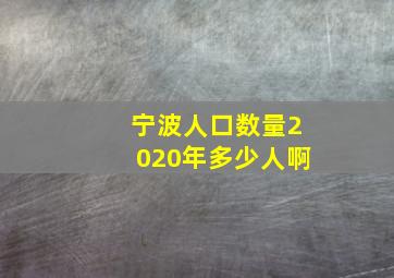 宁波人口数量2020年多少人啊