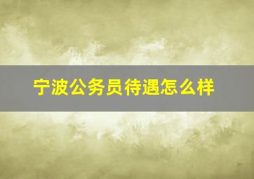 宁波公务员待遇怎么样