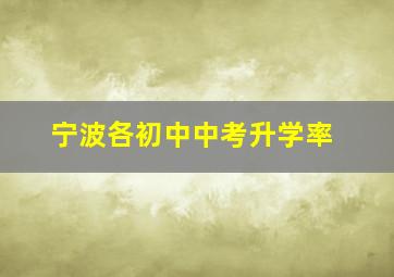 宁波各初中中考升学率