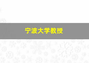 宁波大学教授