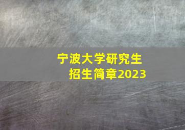 宁波大学研究生招生简章2023